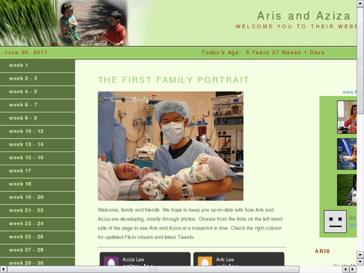 www.azizalee.com