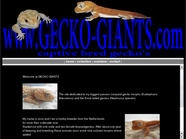 www.gecko-giants.com