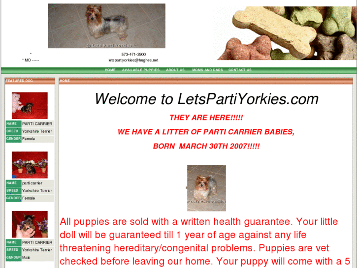 www.letspartiyorkies.com