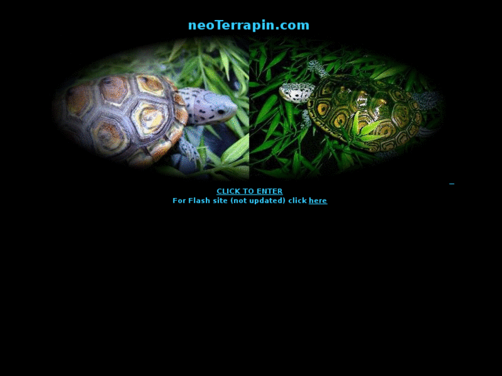 www.neoterrapin.com