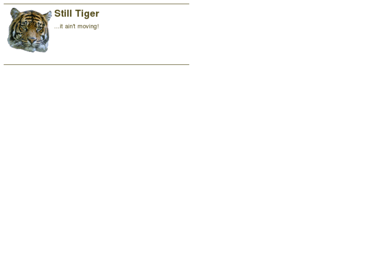 www.stilltiger.com