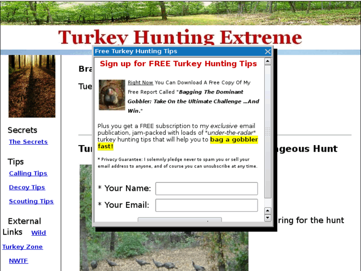 www.turkeyhuntingextreme.com