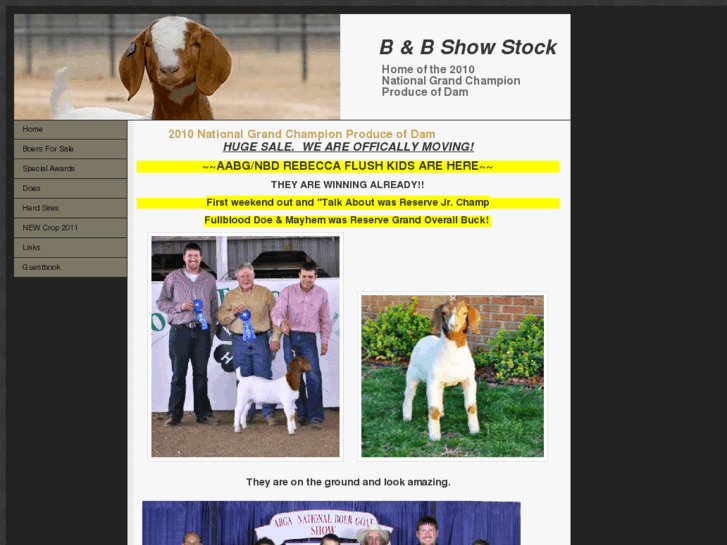 www.bbshowstock.com