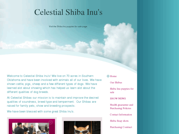 www.celestialshibas.com