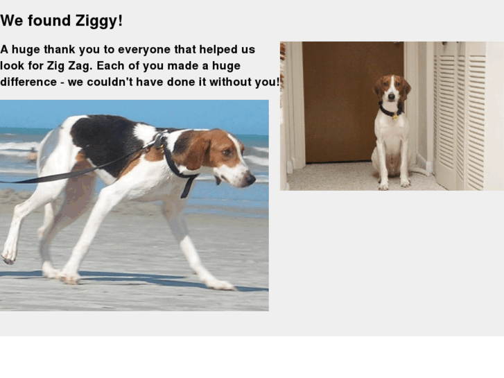 www.findziggy.com