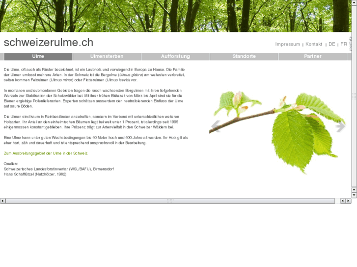 www.schweizerulme.ch