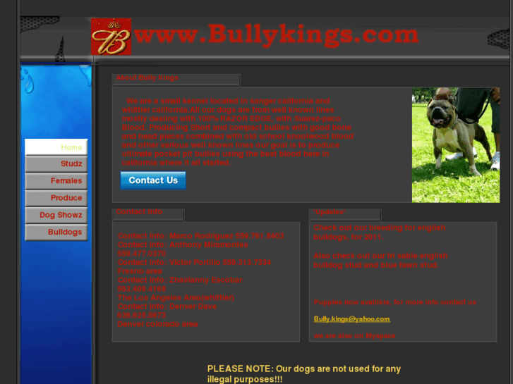 www.bullykings.com