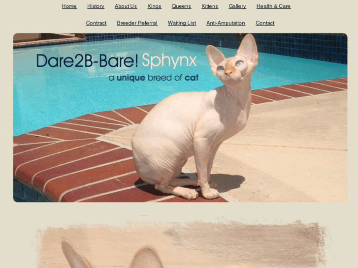 www.dare2b-baresphynx.com