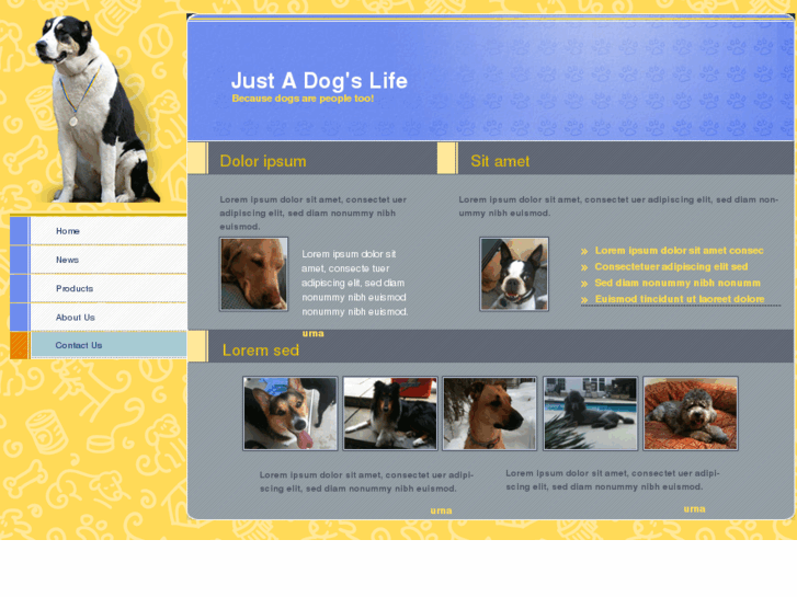 www.justadogslife.com