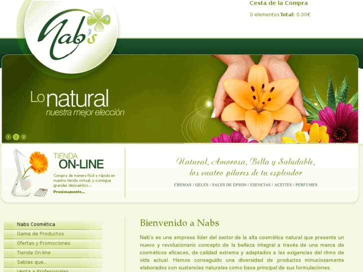 www.nabs.es