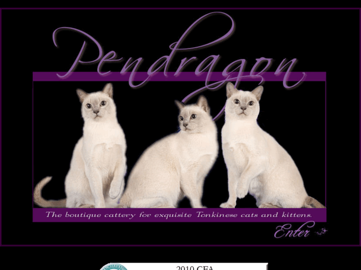 www.pendragontonks.com