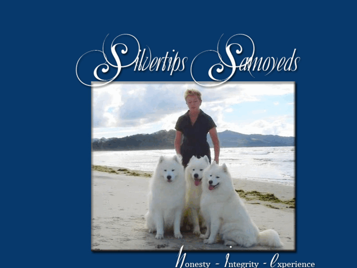 www.silvertipsamoyeds.com