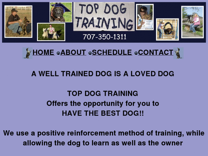 www.topdogtraininglakecounty.com