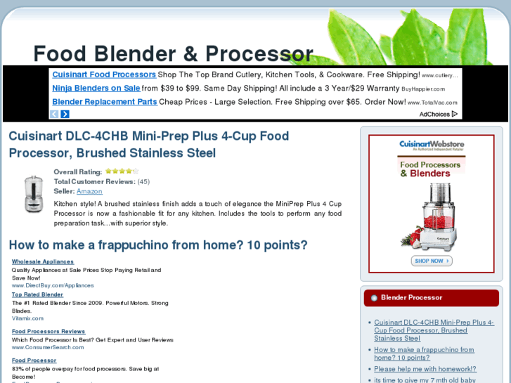 www.foodblenderprocessor.com