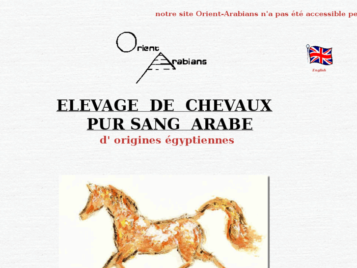 www.orient-arabians.com