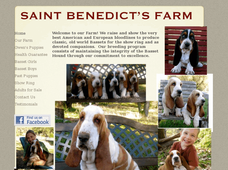 www.saintbenedictsfarm.com