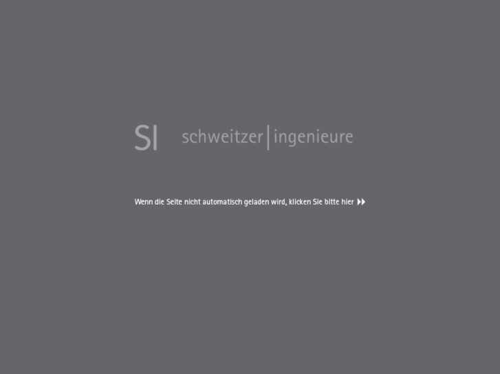 www.schweitzer-consulting.com