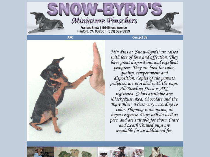 www.snow-byrds.com