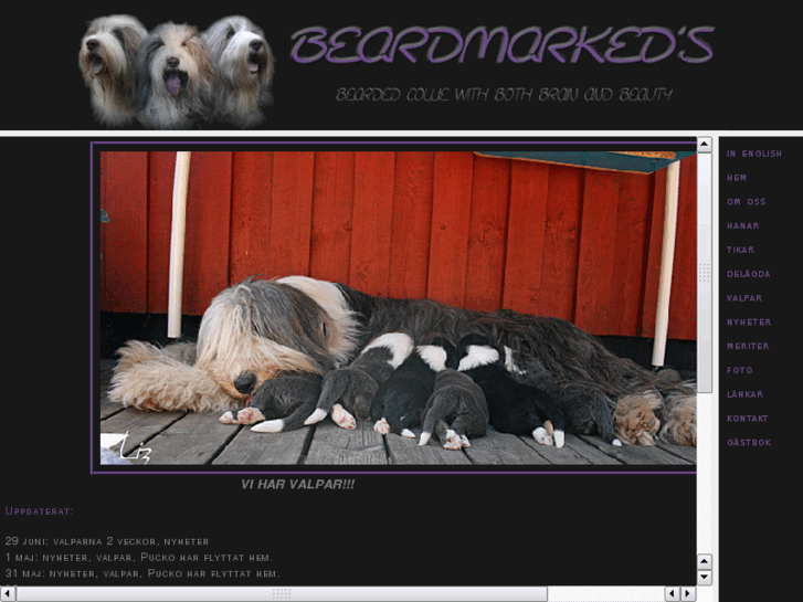 www.beardmarkeds.com