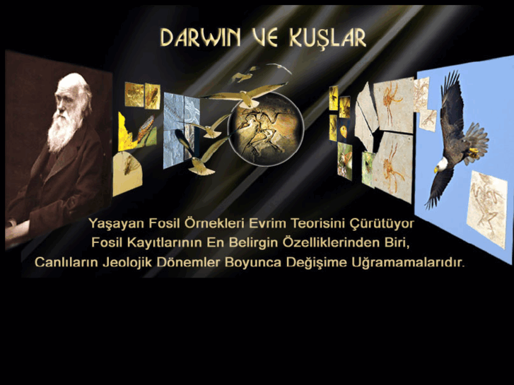 www.darwinvekuslar.com