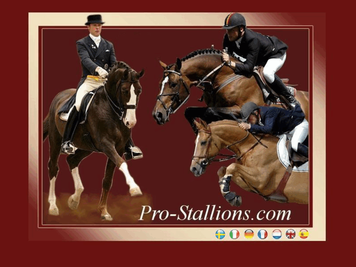 www.pro-stallions.com