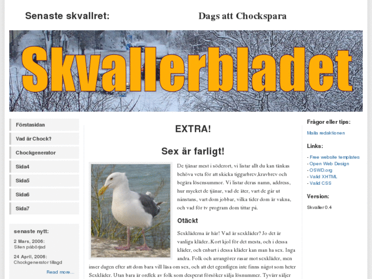 www.skvallerbladet.com