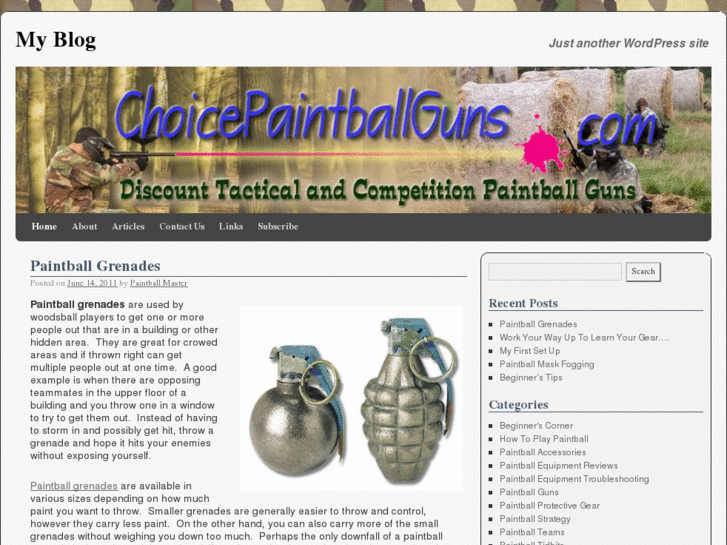 www.choicepaintballgunsblog.com