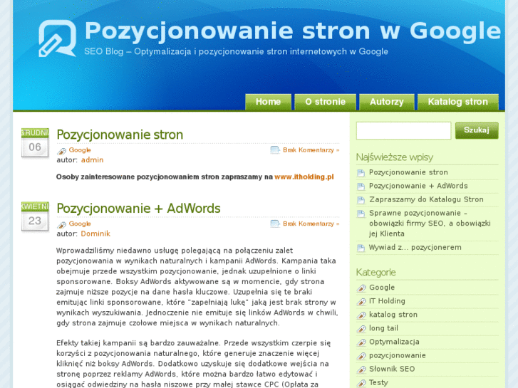 www.pozycjonowaniewgoogle.pl