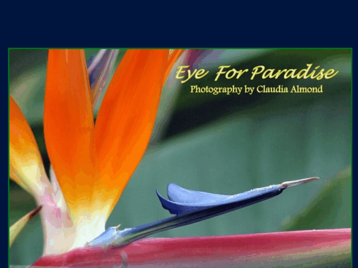 www.eyeforparadise.com