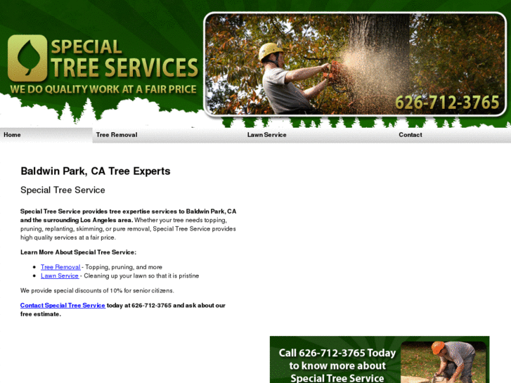 www.specialtreeservice.com