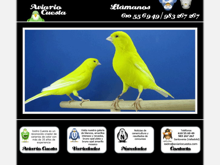 www.aviariocuesta.com