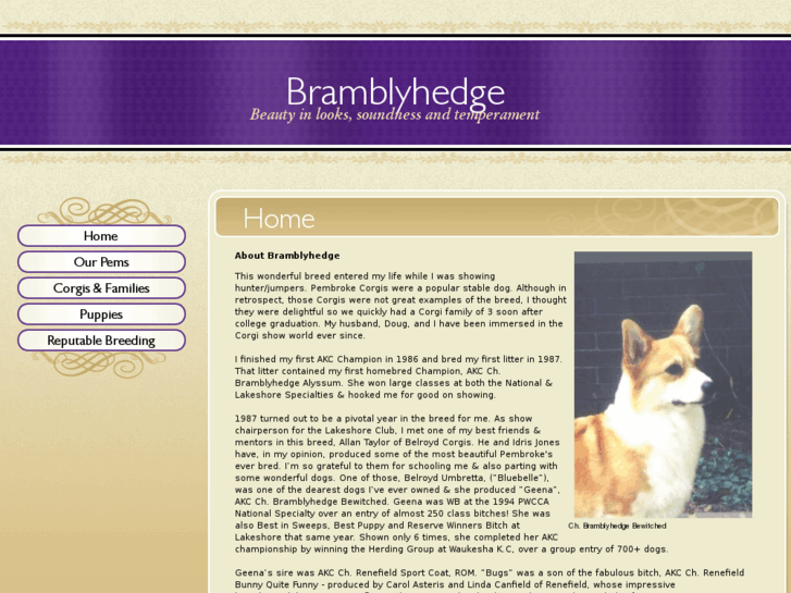 www.bramblyhedgecorgis.com