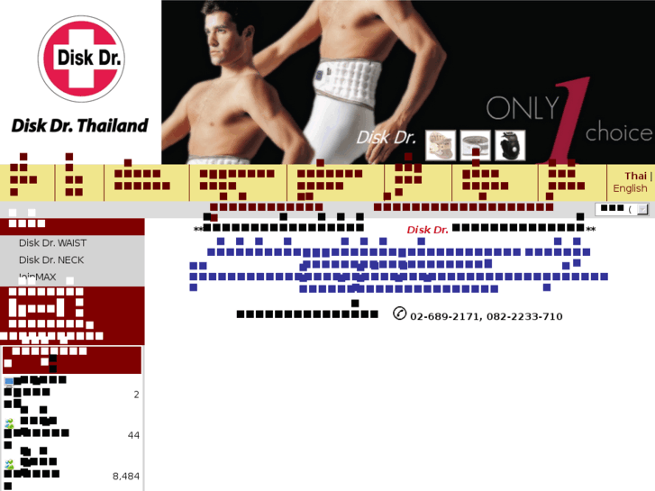 www.diskdrthailand.com