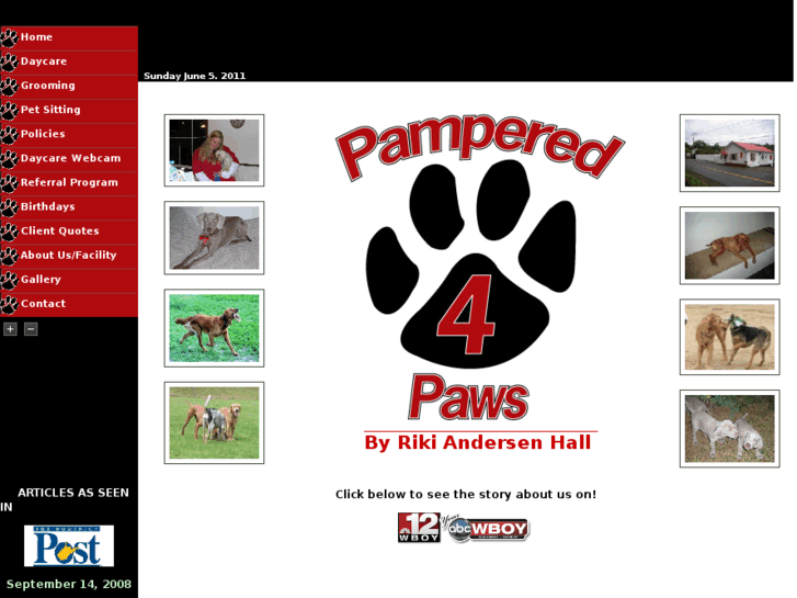 www.pampered4paws.com