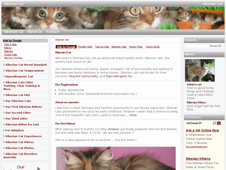 www.siberian-cat.com.au