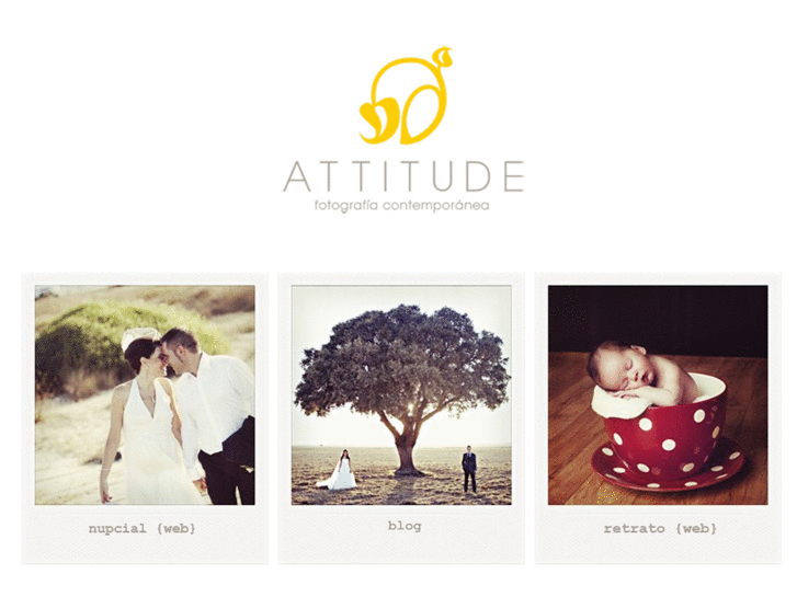 www.attitudefotografia.com