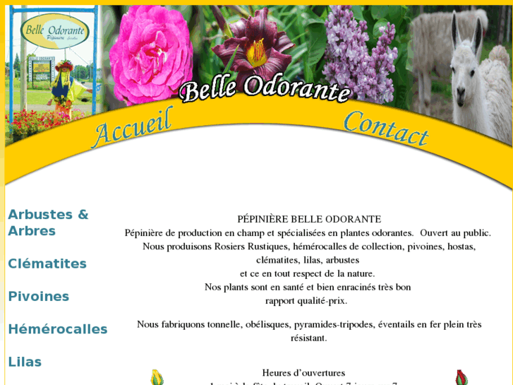 www.belleodorante.com