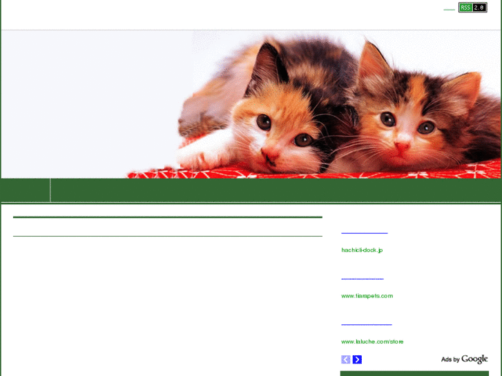 www.cat-neko.com