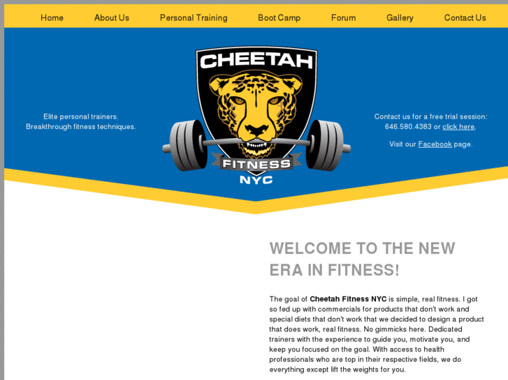 www.cheetahfitnessnyc.com