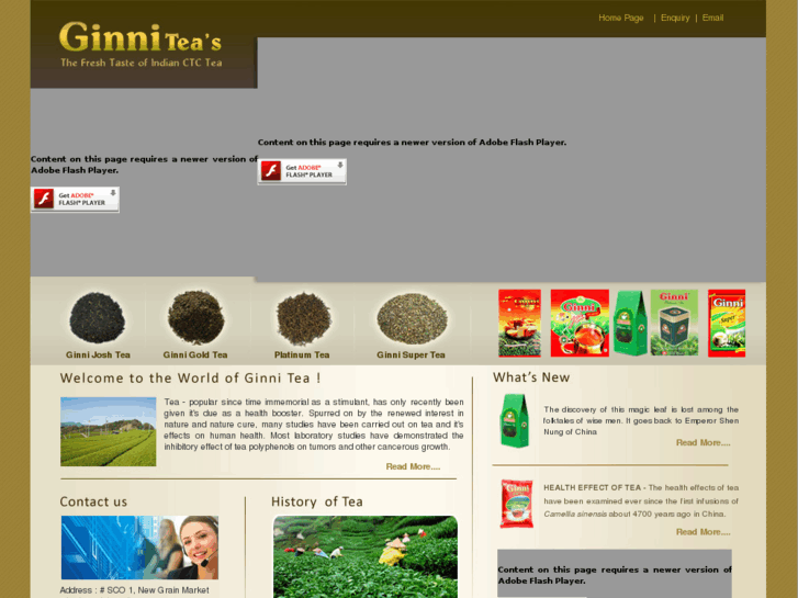 www.ginnitea.com