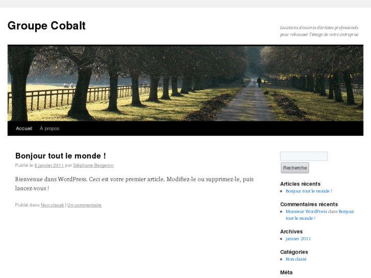 www.groupecobalt.net