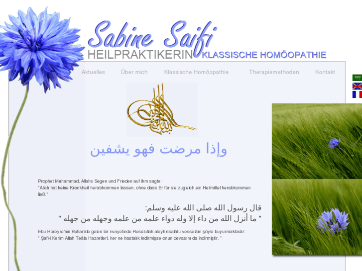 www.sabine-saifi-heilpraktikerin.net