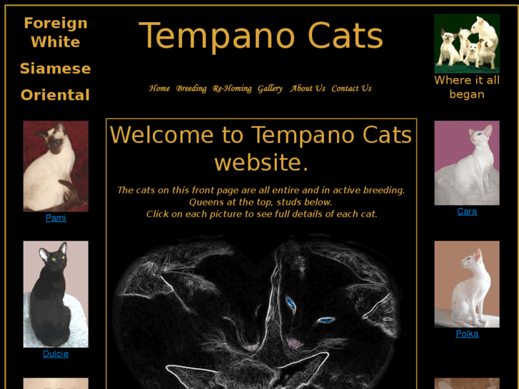 www.tempanocats.co.uk