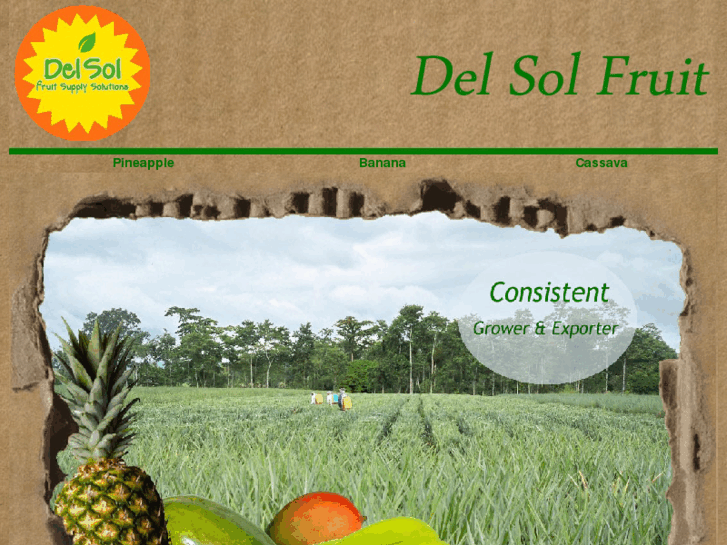 www.delsolfruit.com