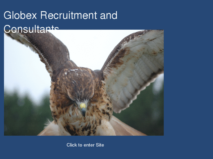 www.globex-recruitment.com