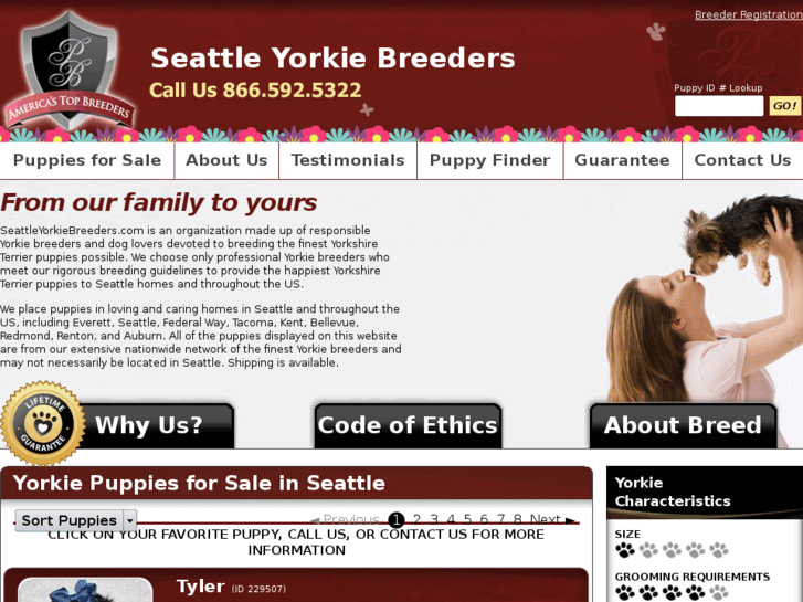 www.seattleyorkiebreeders.com