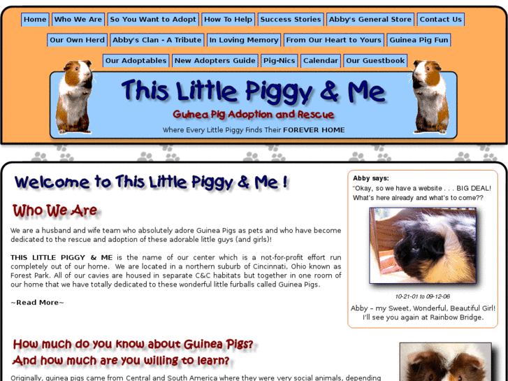 www.thislittlepiggyandme.com