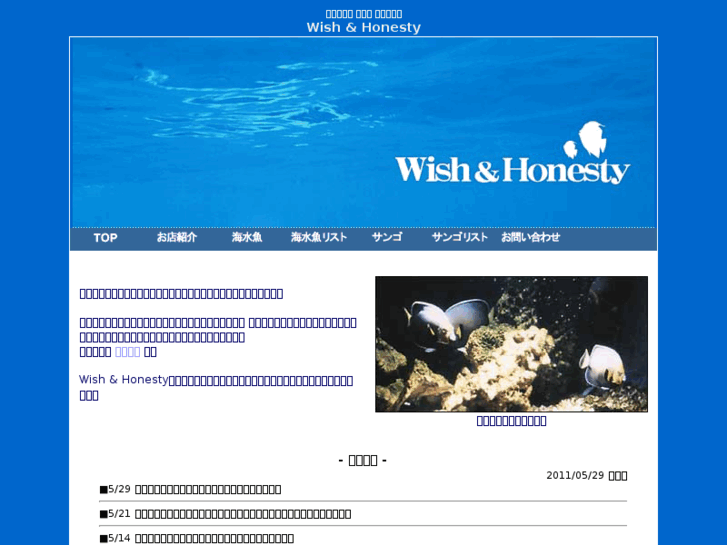 www.wish-honesty.com