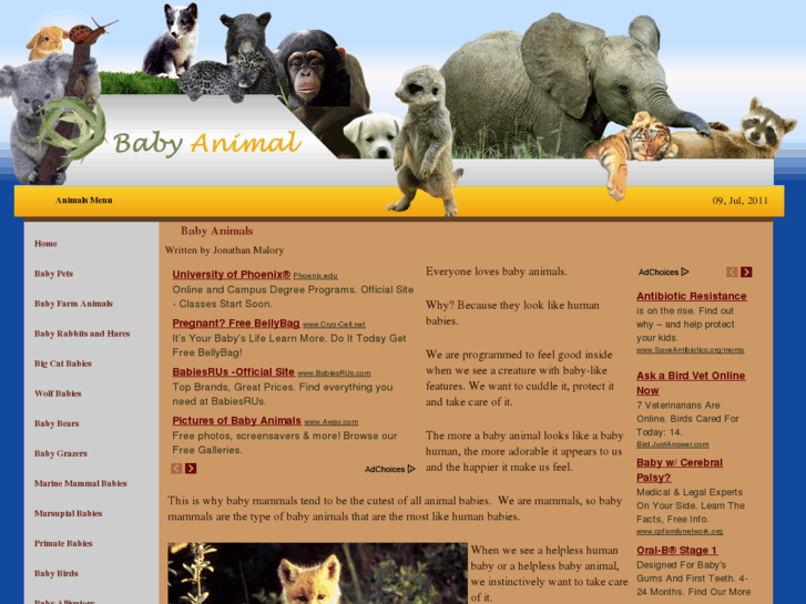 www.babyanimals.org