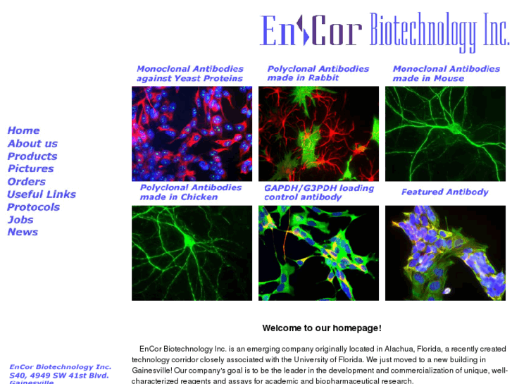 www.encorbio.com